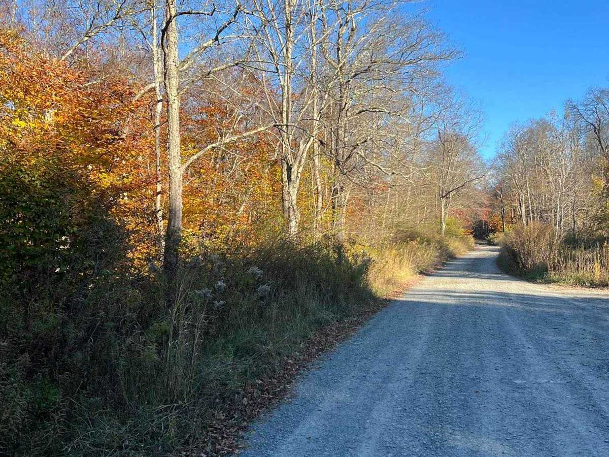 Plank Road photo 2