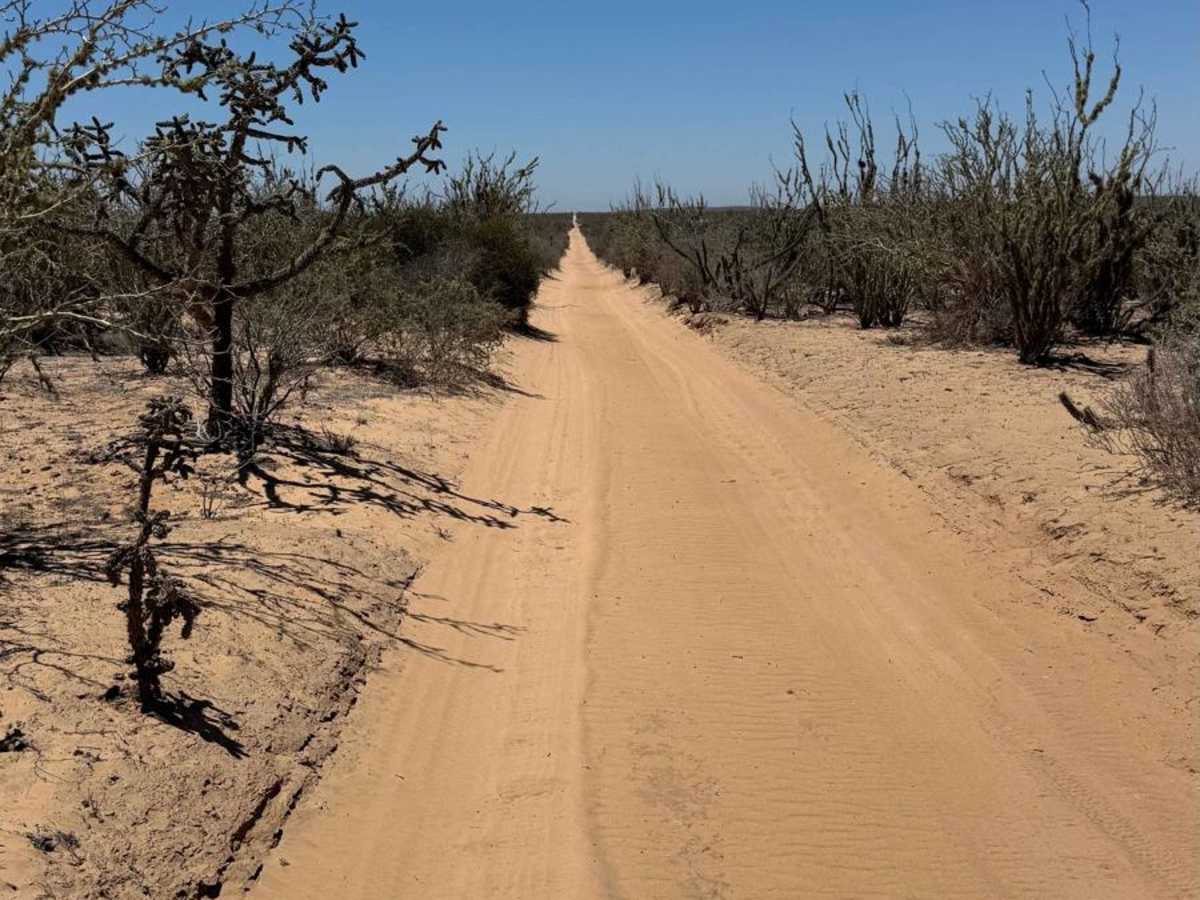 North-South Connection trail photo
