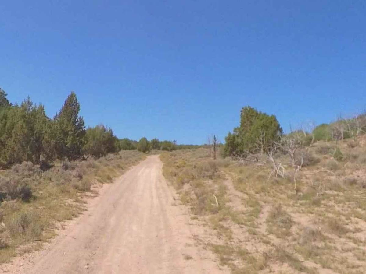 Watts Mountain Road- FS 40111 photo 5