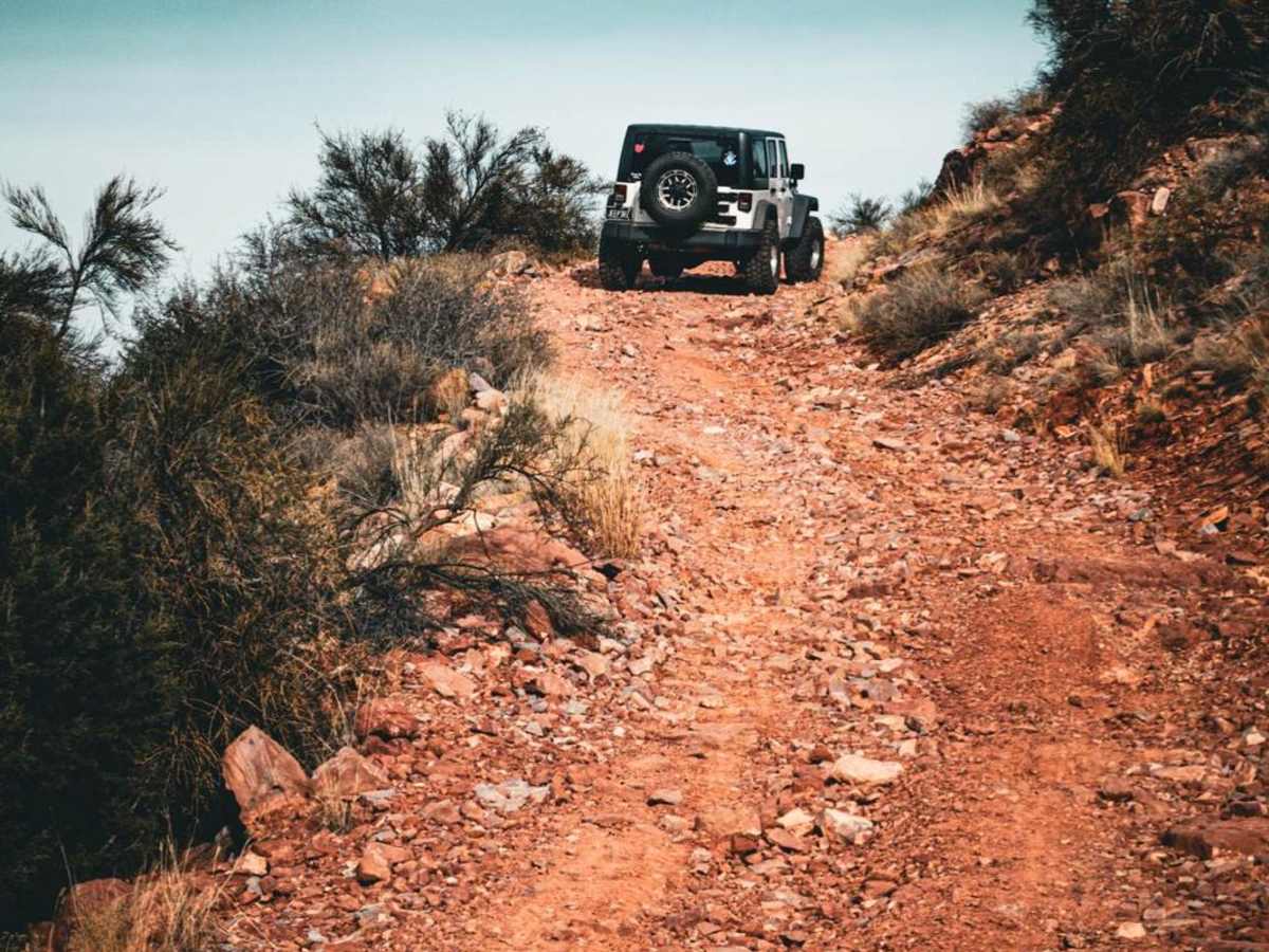 Backway to Williams - Jerome Trail photo 4