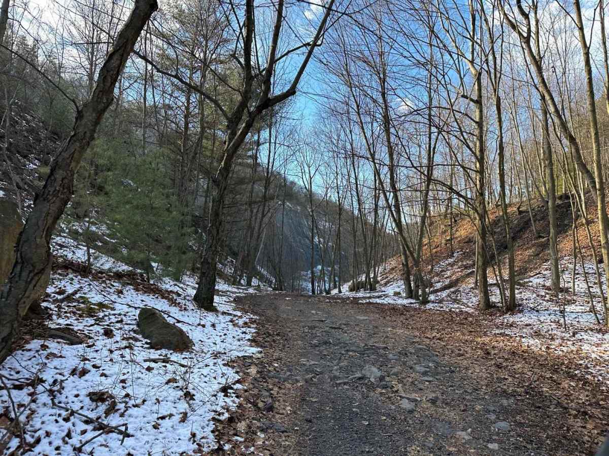 Locust Gap 34 photo 4
