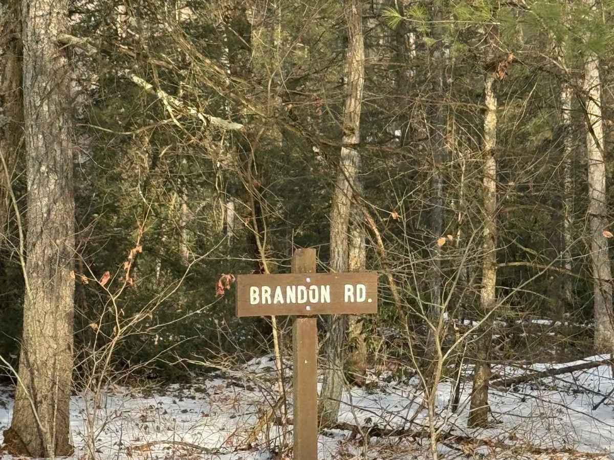 Brandon Road trail photo