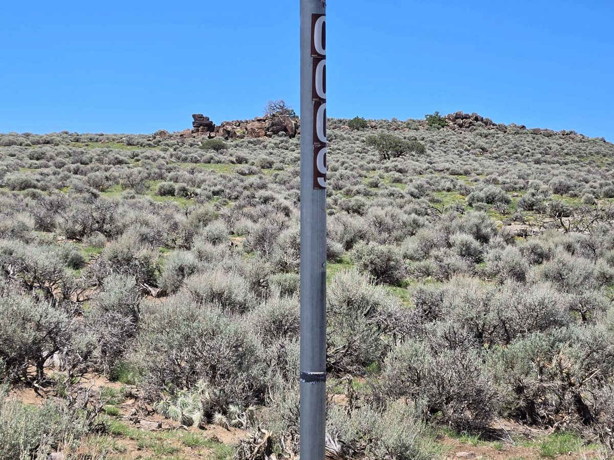Parker Mountain 18 photo 3