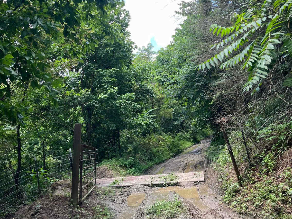 Trail 12 photo 5
