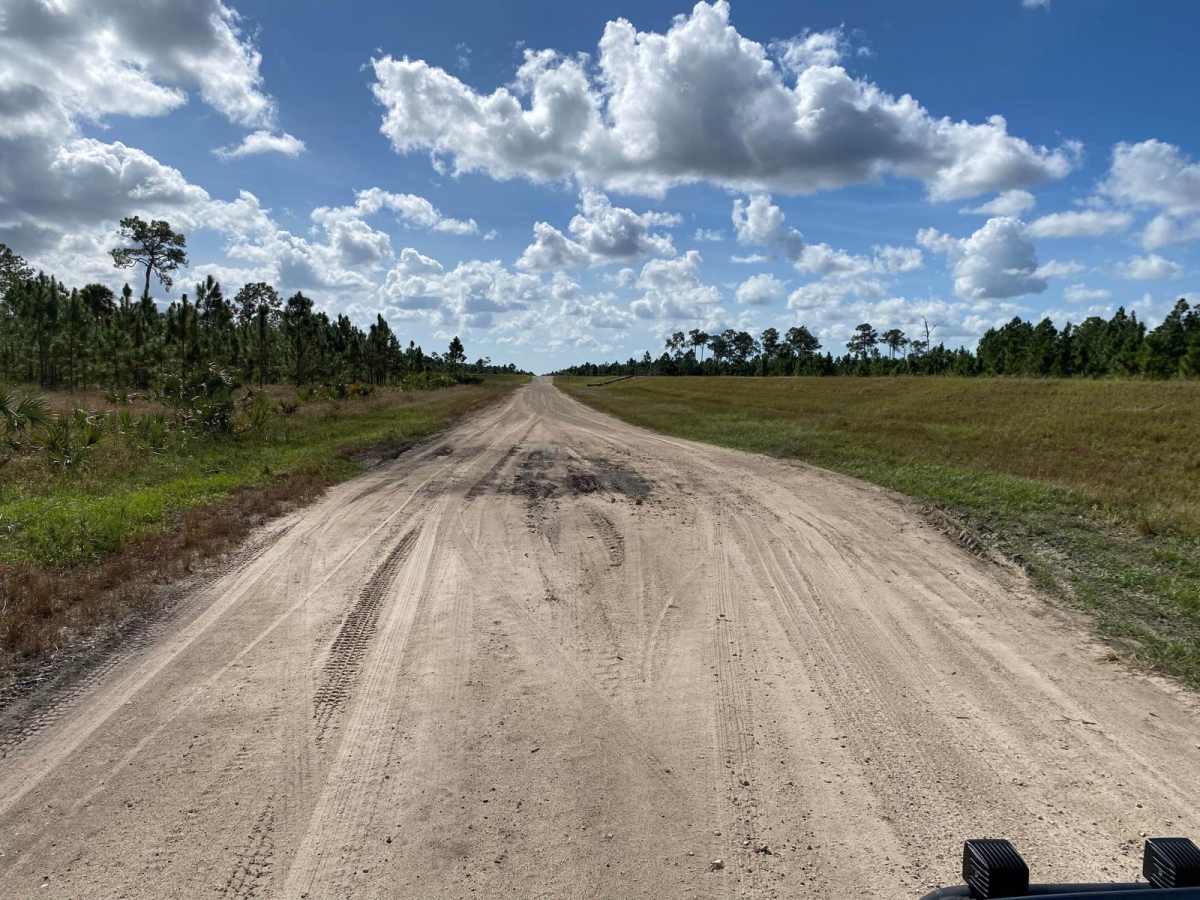Everglades Boulevard photo 3