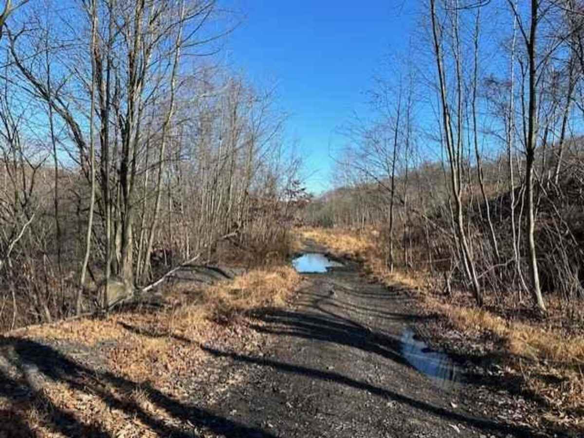 Locust Gap 4 trail photo