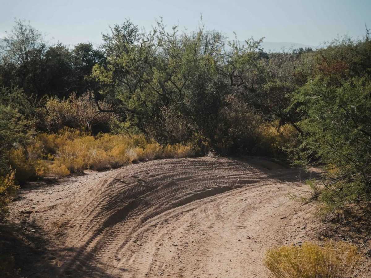 Cottonwood Loop #509 photo 6