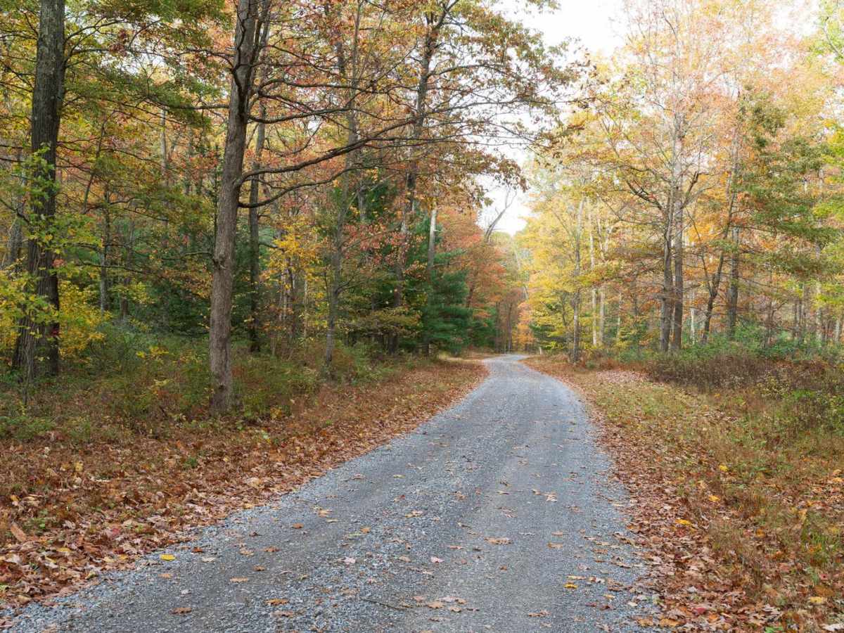 Crowfield Road trail photo