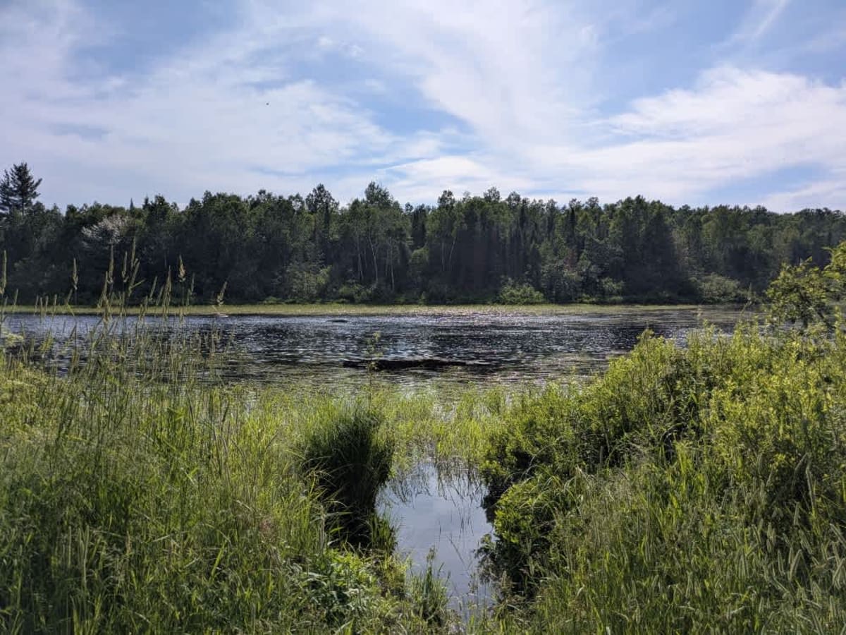 FS 791 Spur trail photo