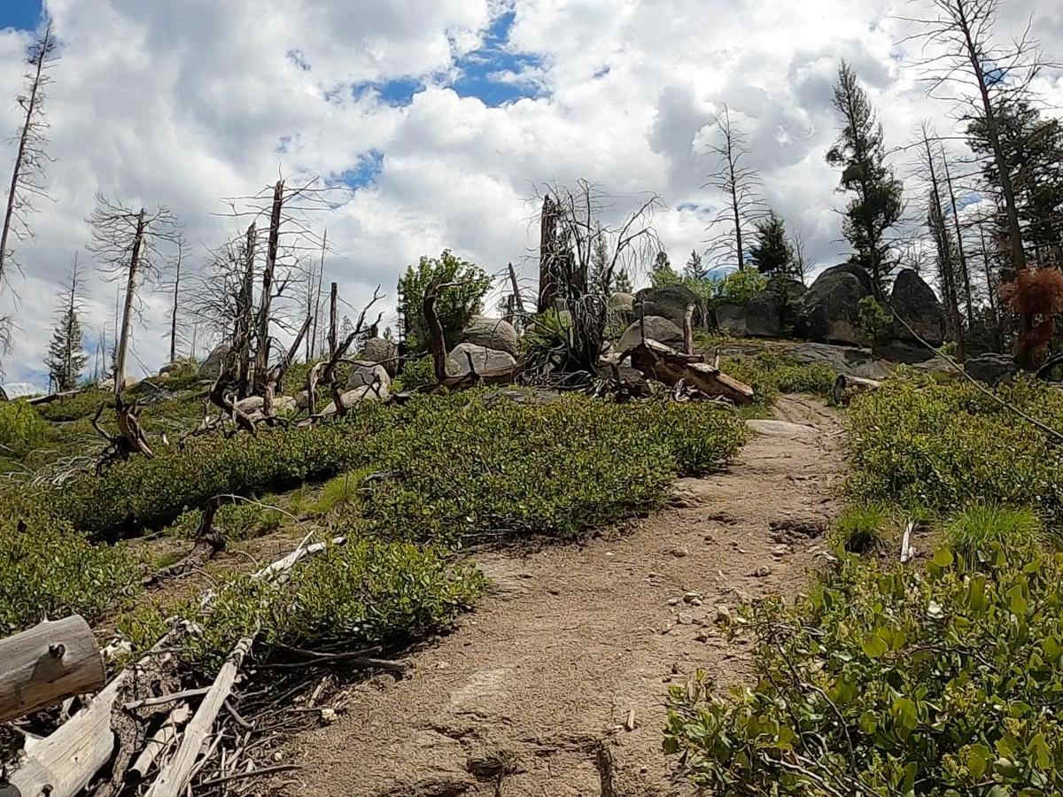 Boise National Forest #254 McCann Trail photo 6