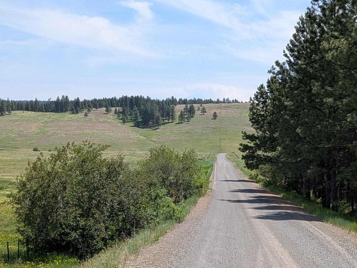 Wellamockin Road South NF46 photo 3