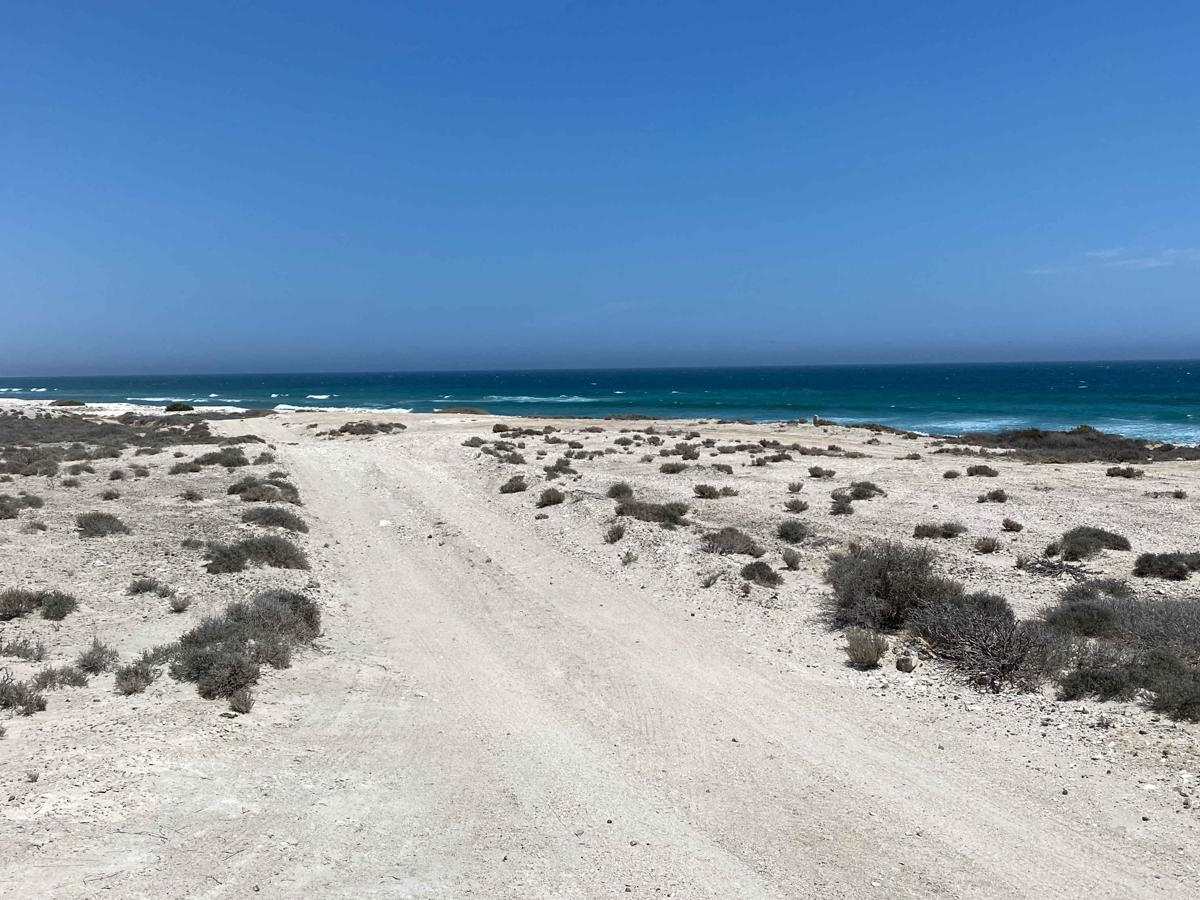 Coastal Route Bahia Asuncion to Punta Prieta photo 6