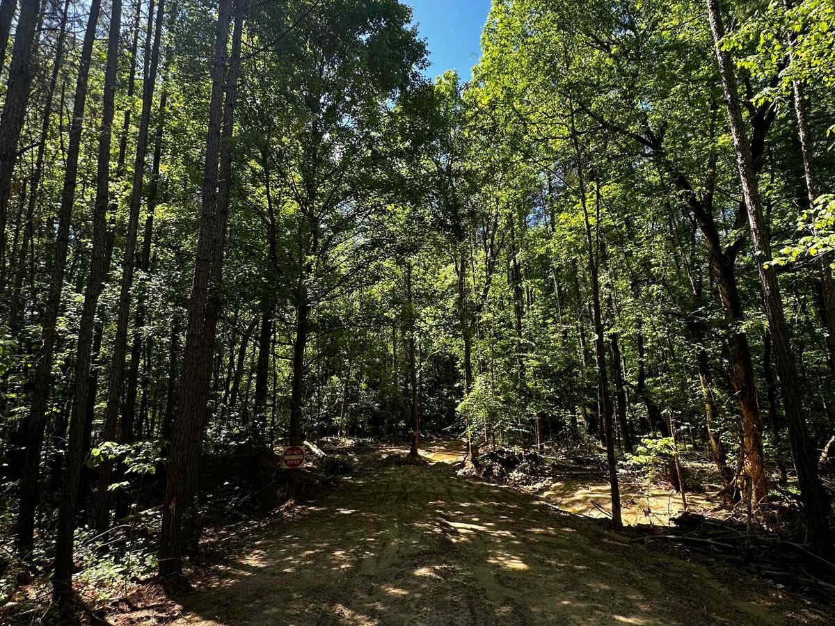 Trail 44 photo 3