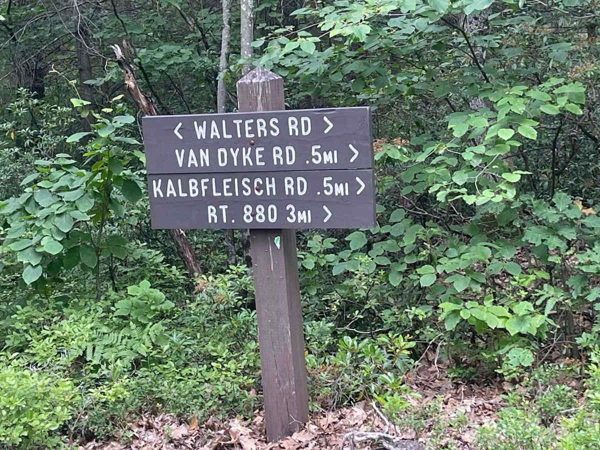 Cove Road photo 5