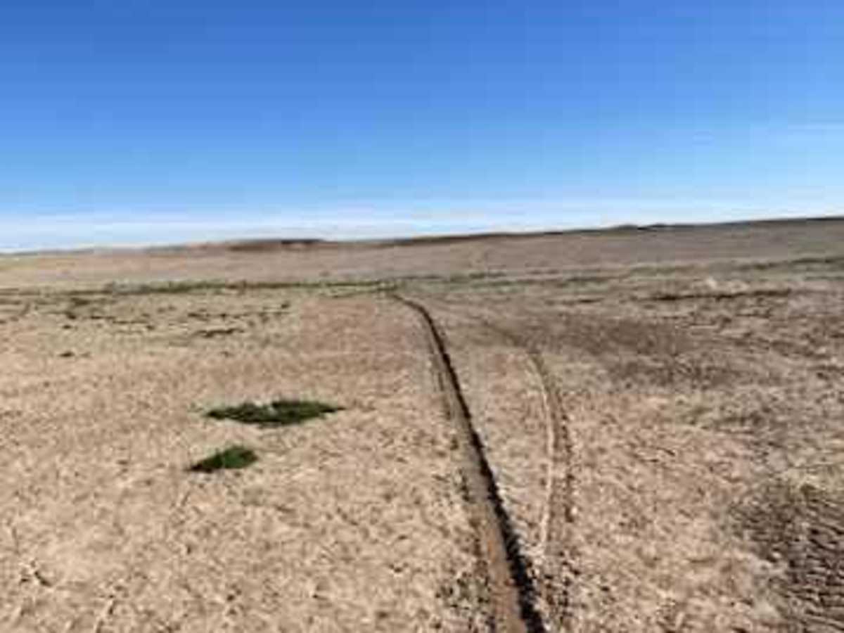 Open Desert Single Track photo 2