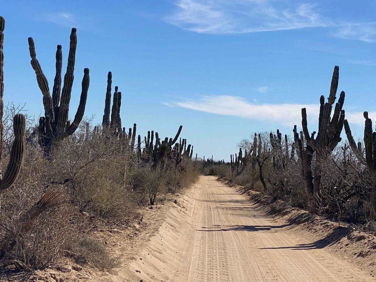 High Road Ejido Meliton trail photo