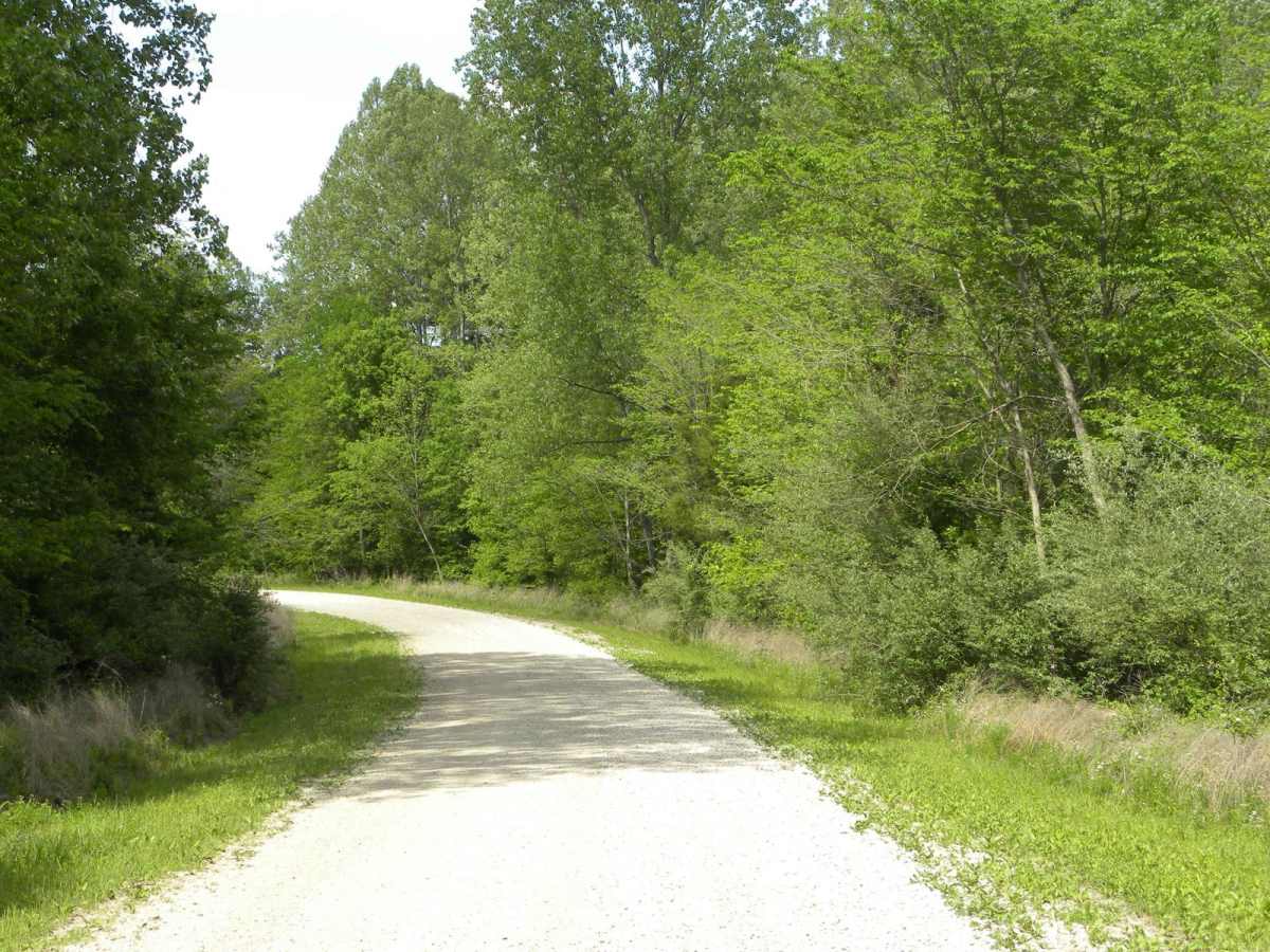 Trail 2 photo 4