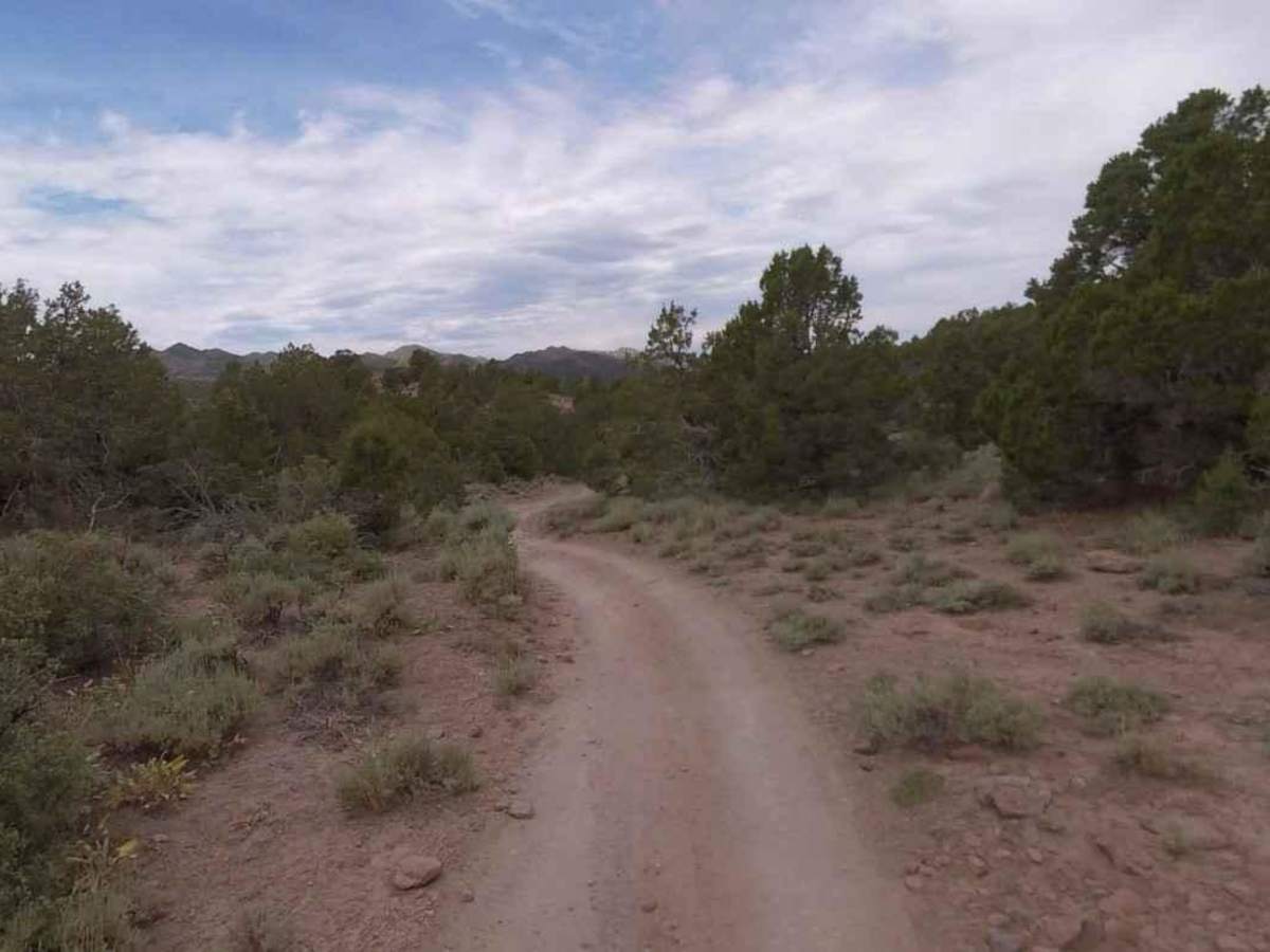 Cave ATV Trail 31039 photo 4