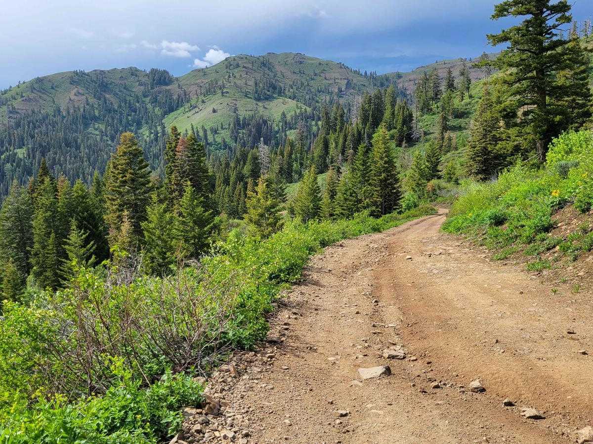 Sturgill Peak - Fire Lookout Tower photo 6