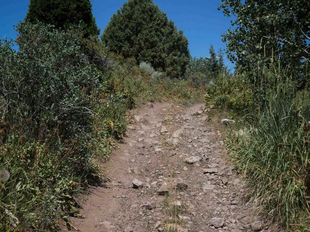 Bailey Ridge #3118  photo 3