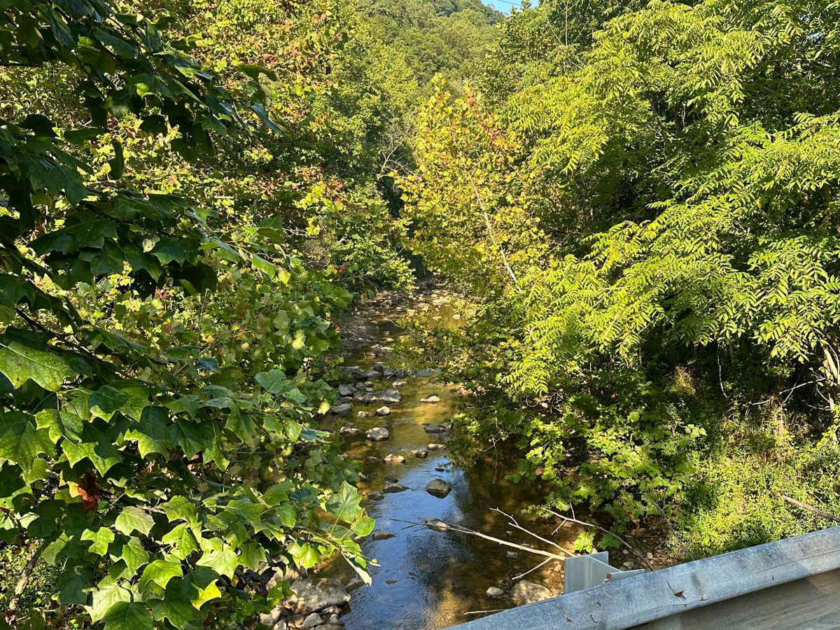 Gabe's Branch Road photo 5