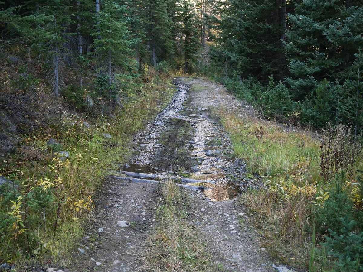 Richey Creek ATV Trail photo 4