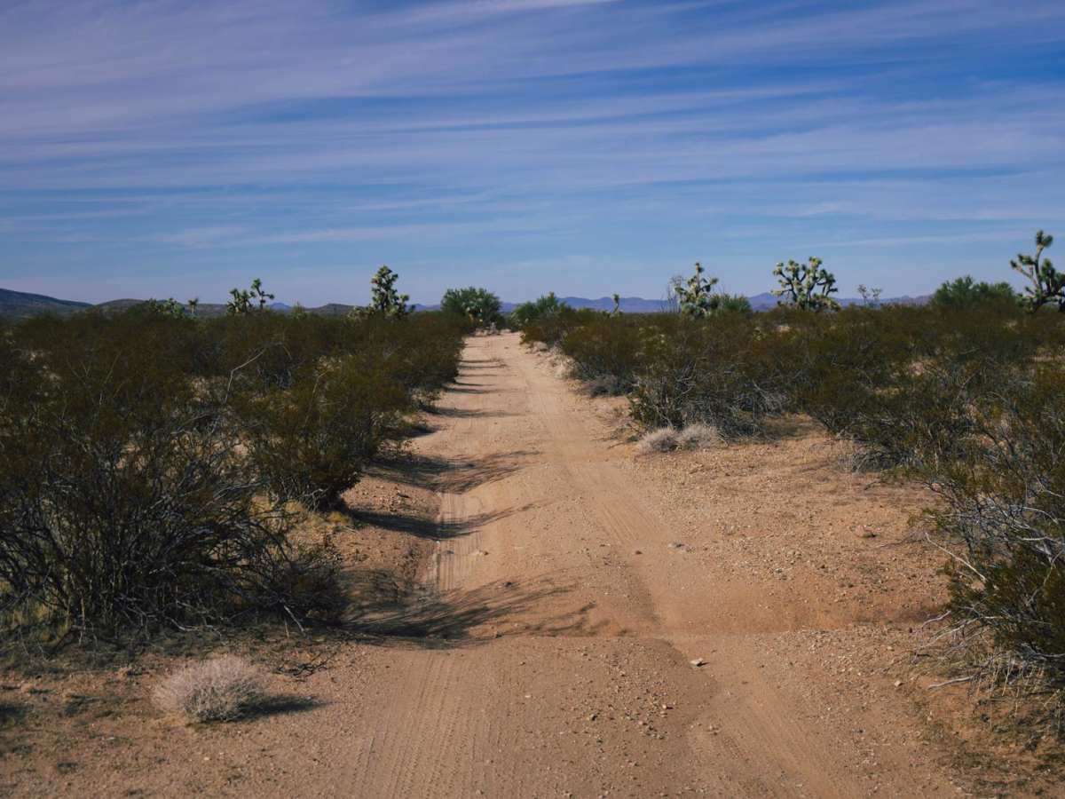 Black Mountain Camp photo 5