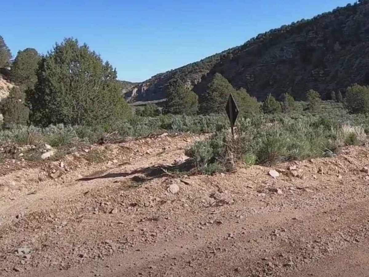 Snake Gulch - FR642 photo 4