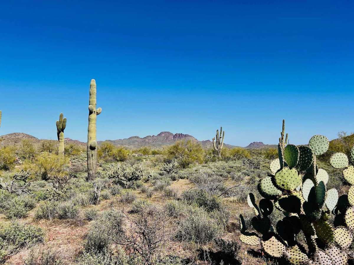 Better Way Out O'Haco trail photo