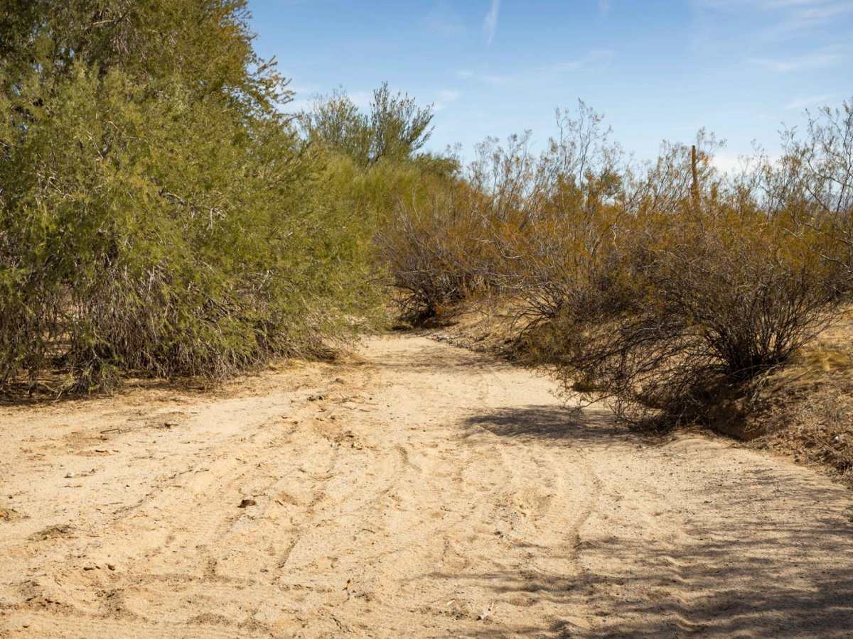 Parker Wash photo 3