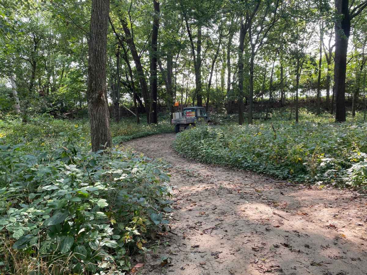 Turtle Trail trail photo