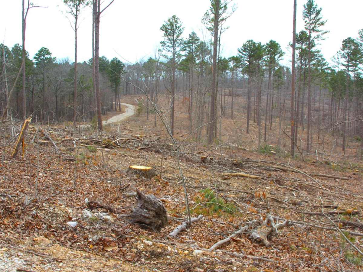 Boiling Ridge - FS 2099 photo 2