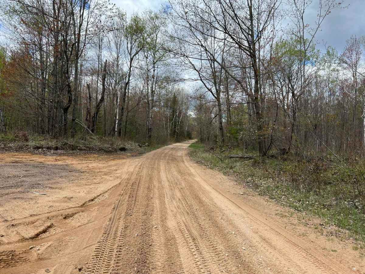 Trail A/Carney Lake Road photo 4