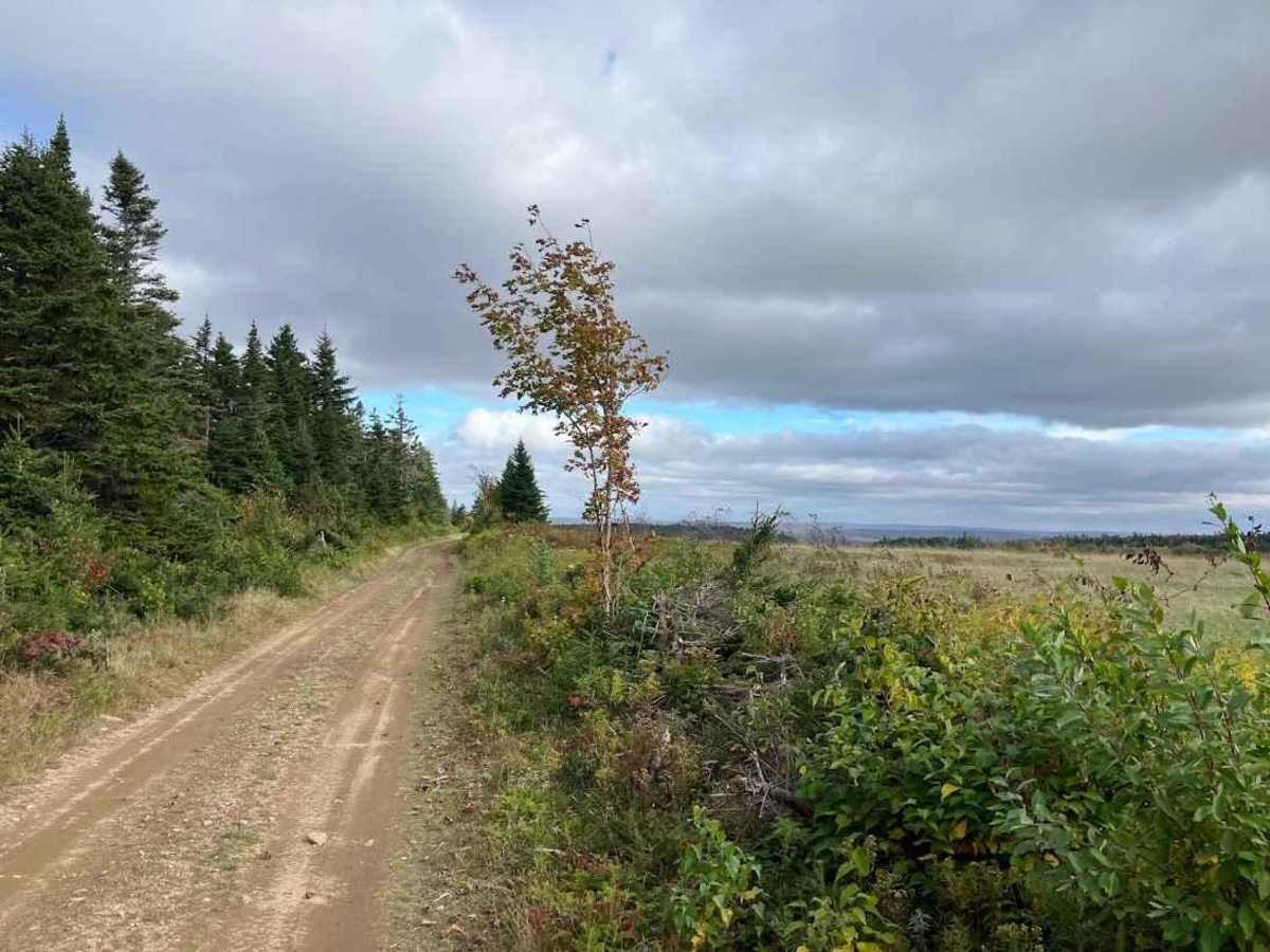 Cape Mabou Road photo 5