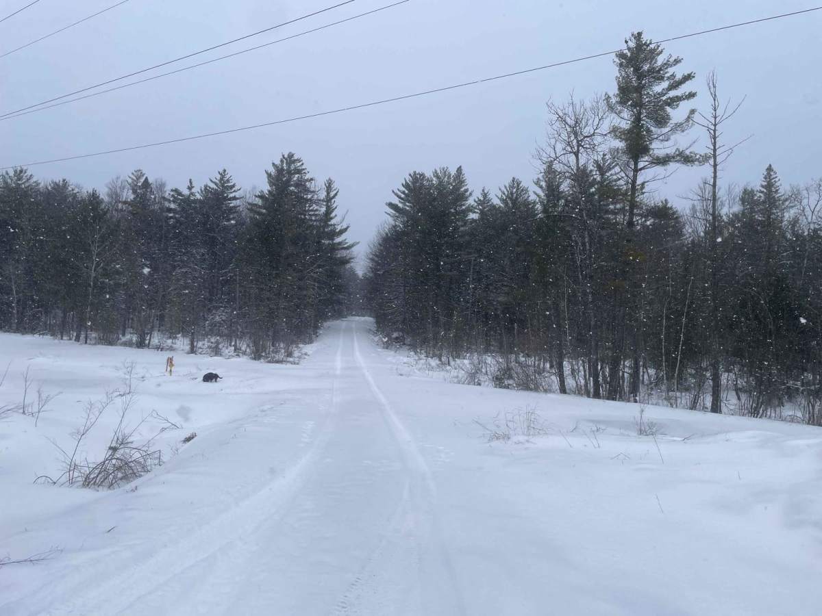 Aspen Hollow Road photo 5