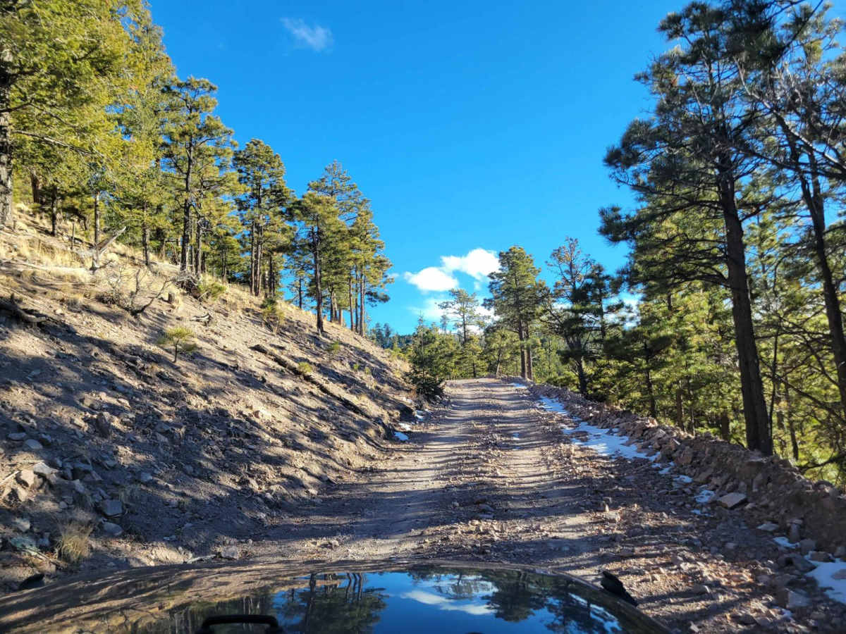 Mount Withington via Monica Saddle photo 6