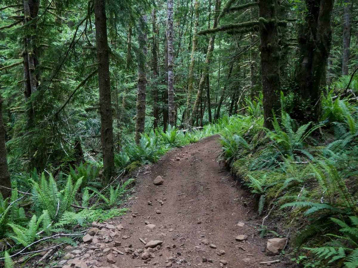 Plympton Creek photo 3