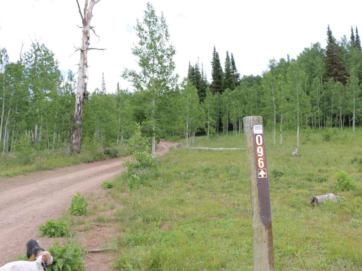 Heber Mountain - FS 70096 photo 6