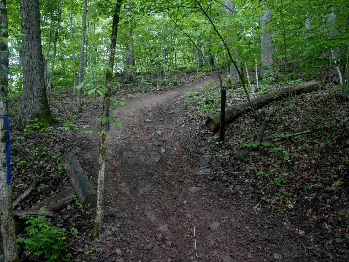 T13 trail photo