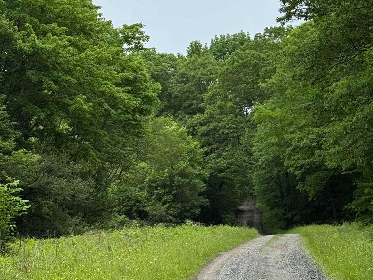 West Murphy Hill Road photo 3