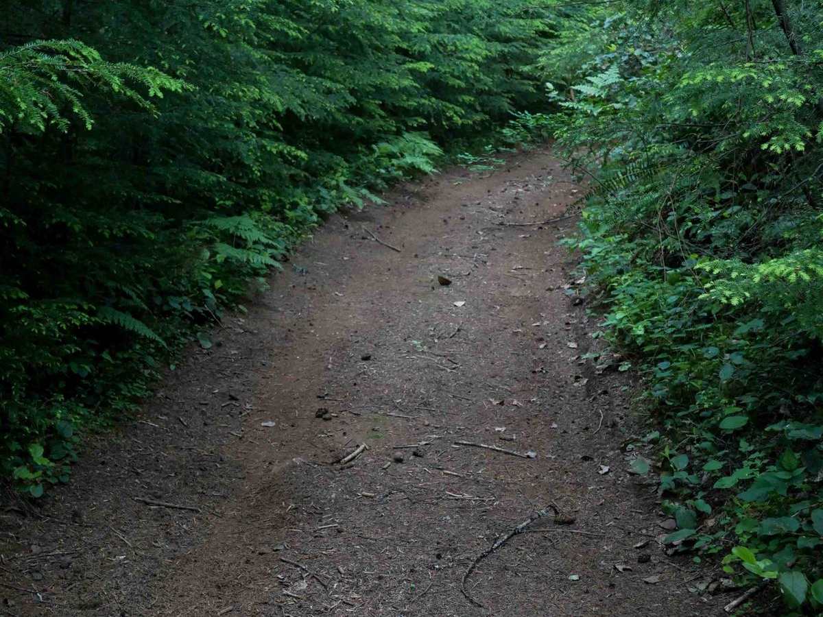 PC20 photo 3