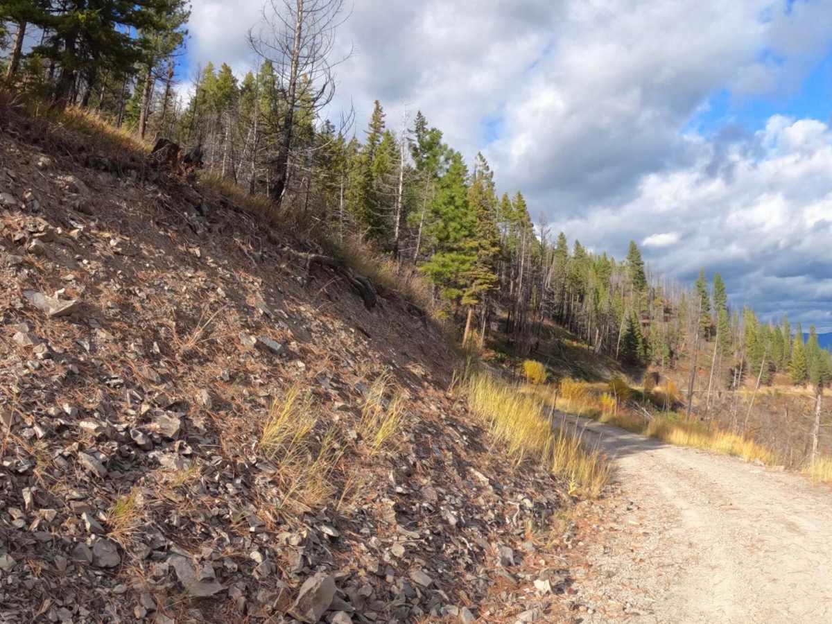 Sunrise Point Road trail photo