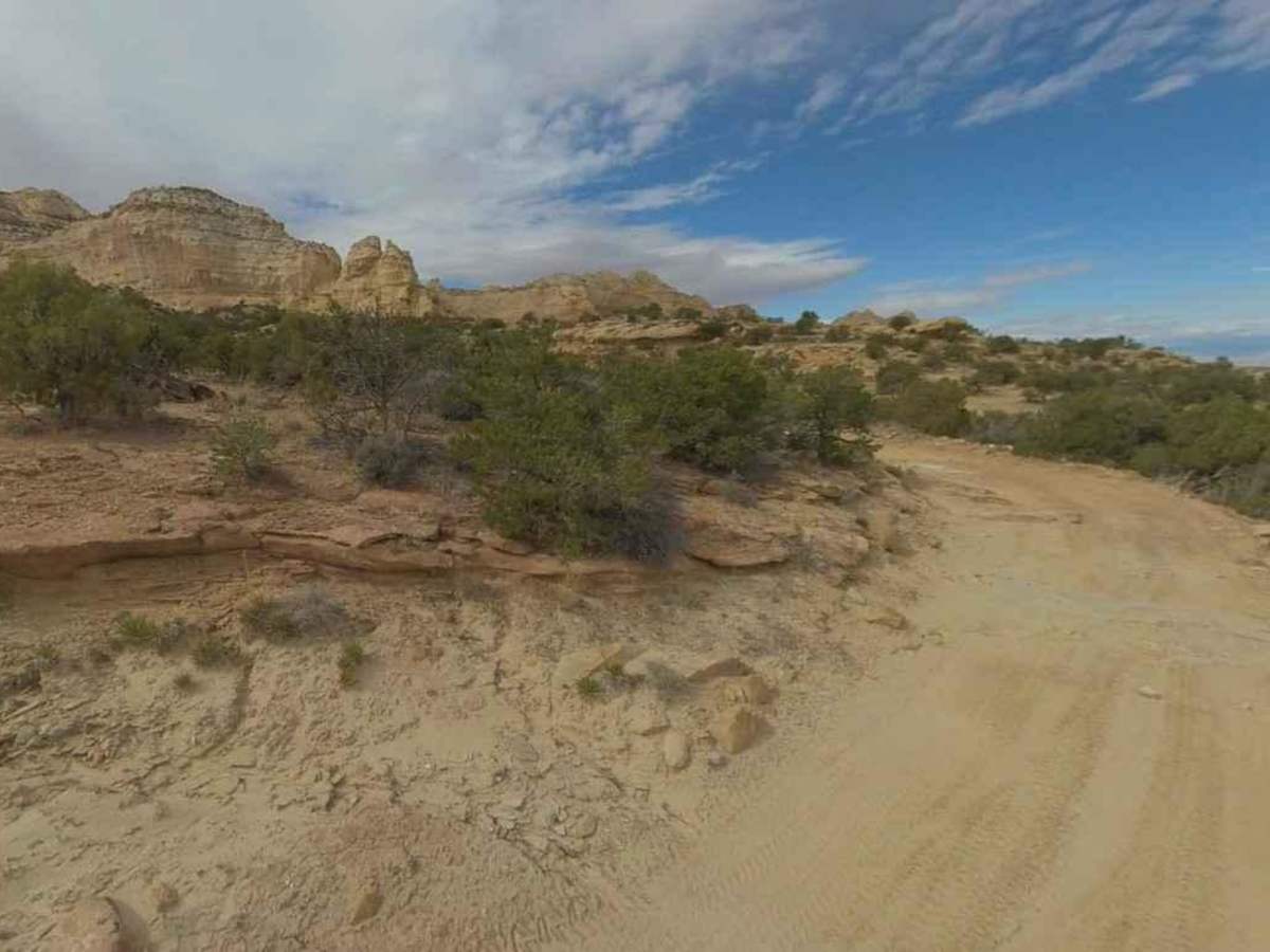 Eva Conover-BLM639 photo 4