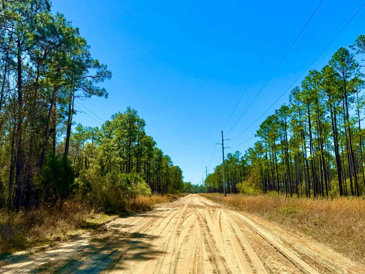 Otter Camp Road - FS 344 photo 6