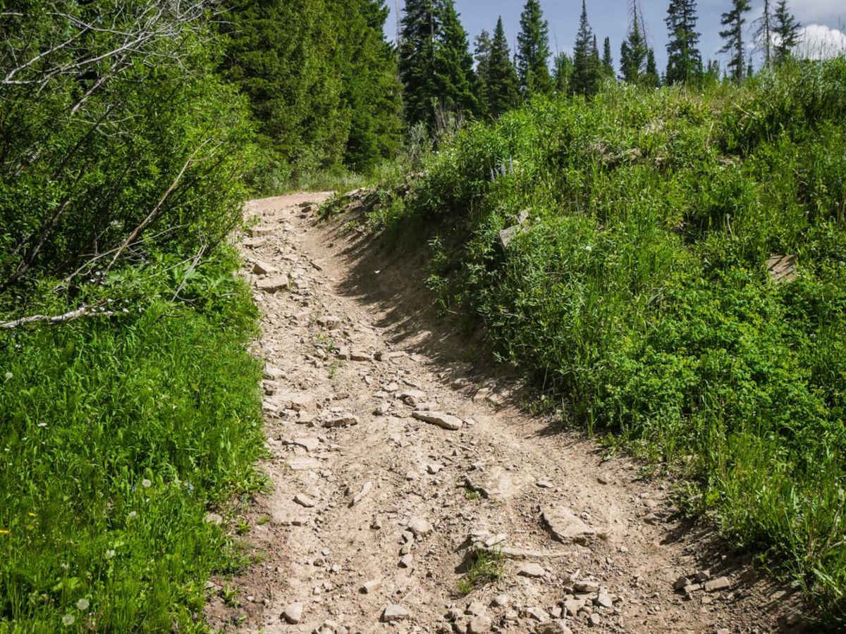 Farwell Mountain ATV Trail photo 3