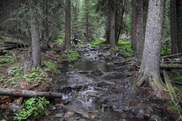 Trail Creek