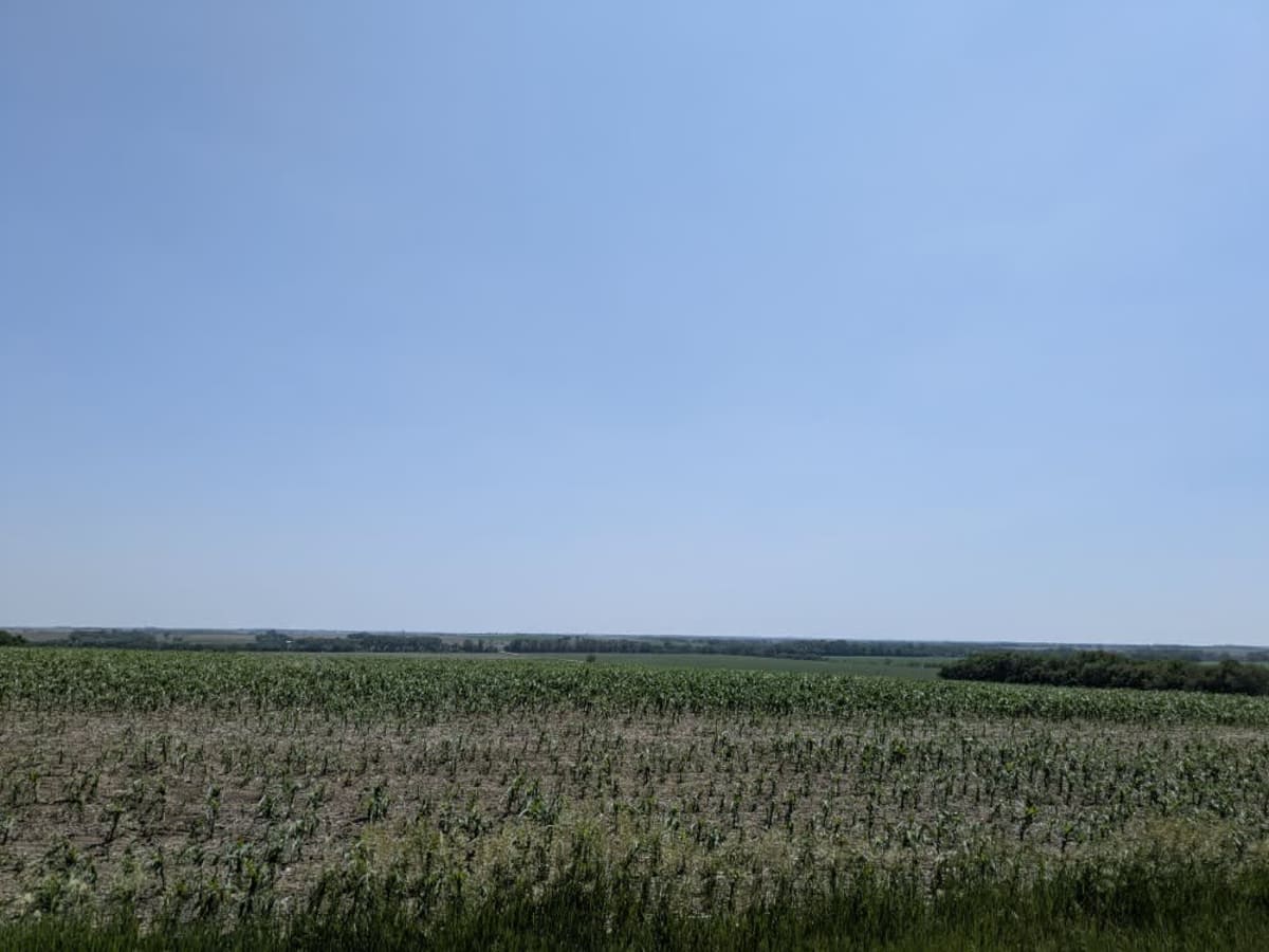 O Road photo 2