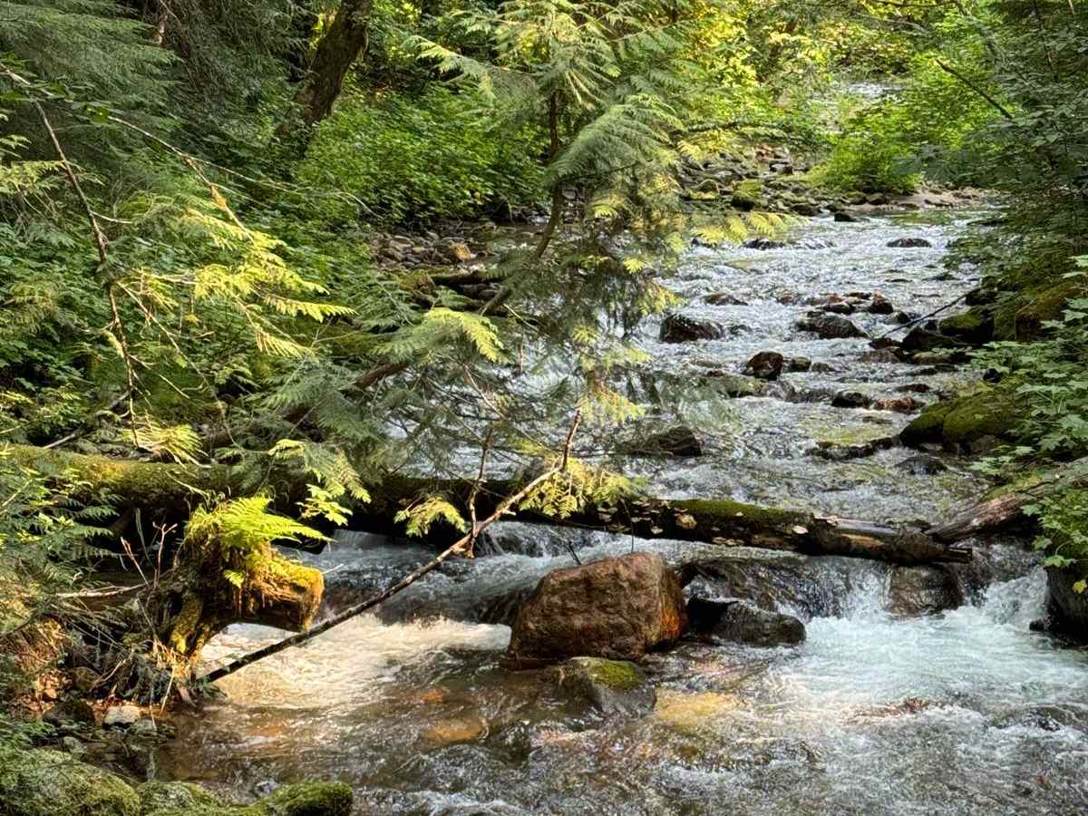 Sloan Creek photo 4