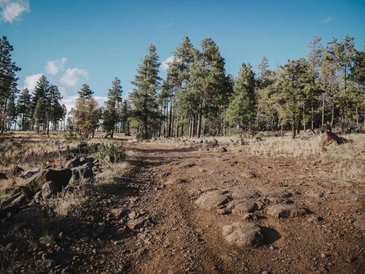 Howard's Spur trail photo