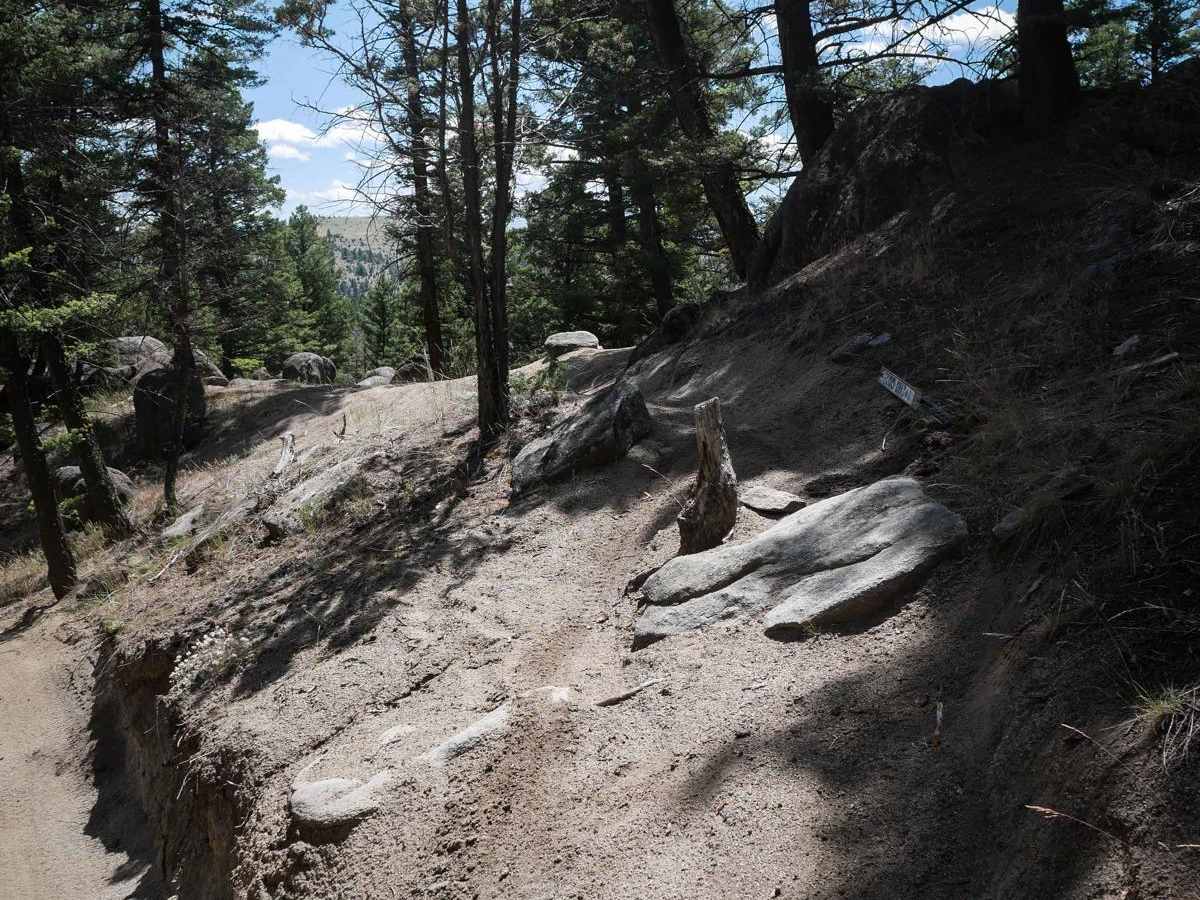BLM 11 photo 3